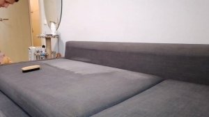 Химчистка дивана от запаха мочи кота