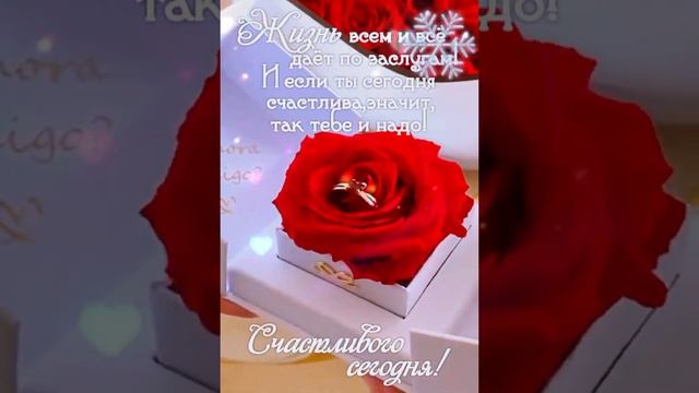 Приглашаю вас на чашечку кофе. #позитив . смотреть онлайн