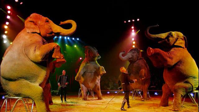 Vitas Circus смотреть онлайн