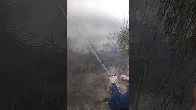 Армянский друг ловит рыбу смотреть онлайн