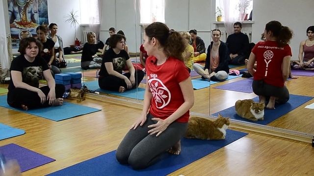 Наталья Ляхова. Лекция по технике травмобезопасности. 1 часть