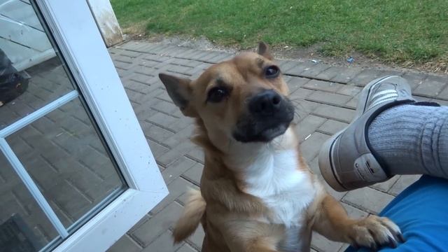 NEW VLOG CAMERA SONY CYBERSHOT WX350 HD смотреть онлайн