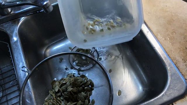 How To CLEAN And SAVE Your Zucchini & Squash Seed...Even When They're Rotting! смотреть онлайн