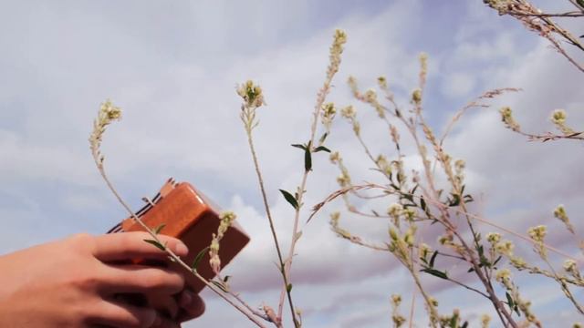 MINECRAFT Kalimba Cover - C418 - Haggstrom | Relaxing Kalimba Music