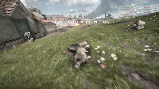 CLOSE QUARTER COMBAT SNIPES!! EPIC WAR PIGEON GAMEPLAY W/COMMENTARY смотреть онлайн