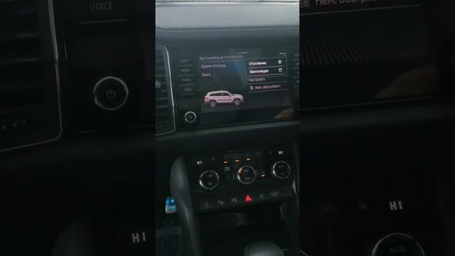 Установили оригинальный дополнительный отопитель Webasto. У вас Skoda? тогда вам в PetranVAG!