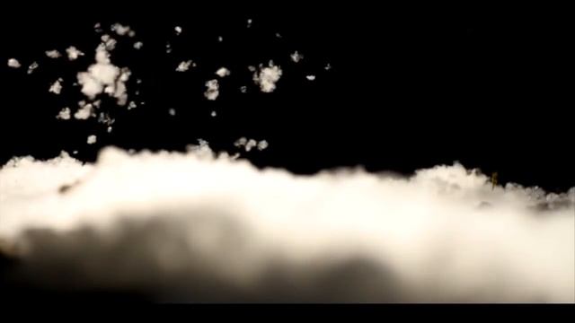 Tina Turner (Nichiren Buddhist Mantra & Lotus Sutra )