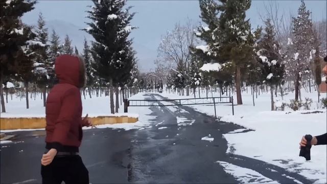 ТЕХНО ЛЕЗГИНКА 2017 ASSA GROUP ALISHKA ELCHIN BALAKEN