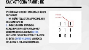 Что такое информация, кодирование и код. Представление информации в памяти компьютера