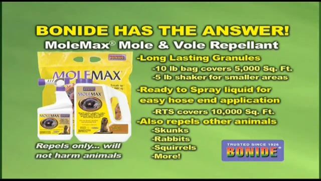 Mole Max смотреть онлайн