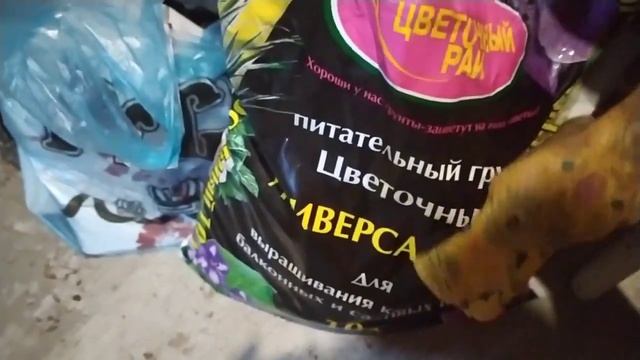 ВТОРАЯ ЖИЗНЬ ВЫЦВЕТШИМ НА СОЛНЦЕ ГОРШКАМ-КАШПО! ОЧЕНЬ ЛЕГКО И ПРОСТО САЖАЕМ АЛИССУМ В НИХ смотреть онлайн