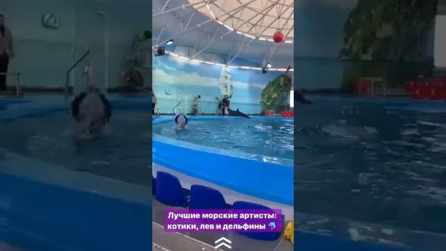 Мы пришли на шоу в дельфинарий "Немо" со скидкой 50%! смотреть онлайн