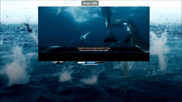 VideoJS Player