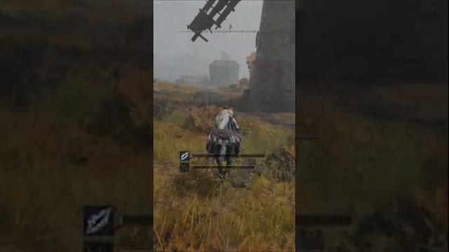 Elden ring. Картина - Нелетающая птица #shorts смотреть онлайн