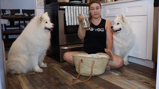 Samoyeds Share my Grocery Haul! | Produce You Can (And Can't!) Feed Your Dog смотреть онлайн