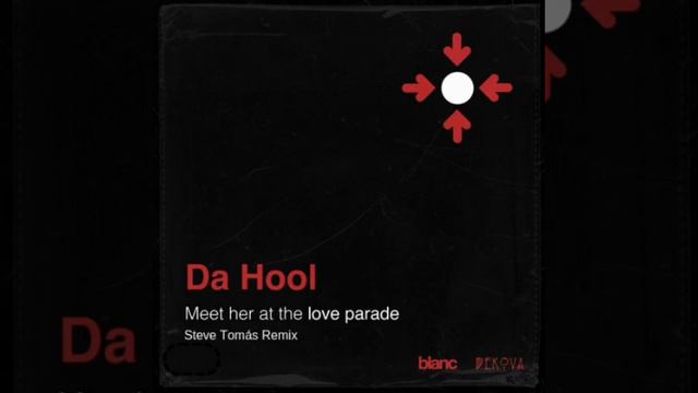 Da Hool - Meet Her At The Love Parade (Steve Tomás Remix)