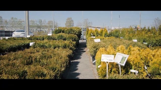 ОТКРЫЛИ ЕЩЁ ОДИН САДОВЫЙ ЦЕНТР смотреть онлайн