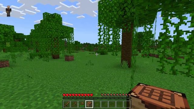 Minecraft Beginners Guide For Parents And Children Nintendo Switch Playstation XBox Bedrock