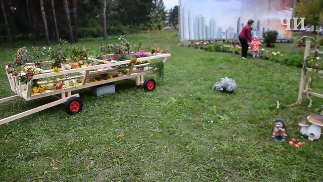 Все цветочные композиции с фестиваля цветов в Набережных Челнах смотреть онлайн
