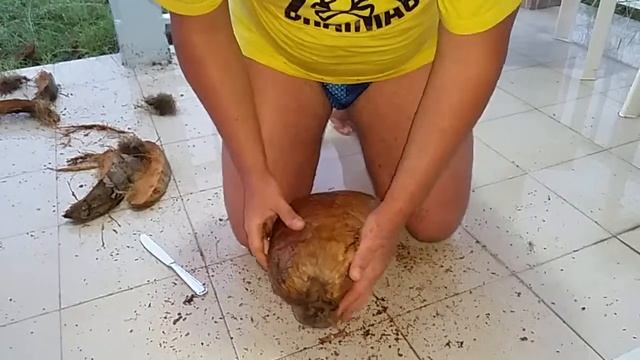 как вскрыть кокос ножиком из столовки смотреть онлайн