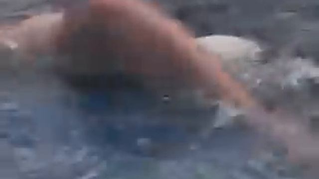 ПОЛОЖЕНИЕ+ТЕЛА+И+РАЗВОРОТЫ+ПЛЕЧА+В+КРОЛЕ+НА+ГРУДИ+3+ +YouTube