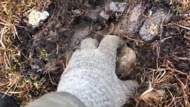 Особенности тундры смотреть онлайн