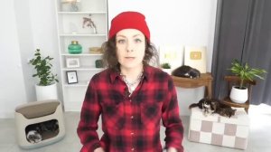 Как отравить собак и кошек без крысиного яда и с любовью.