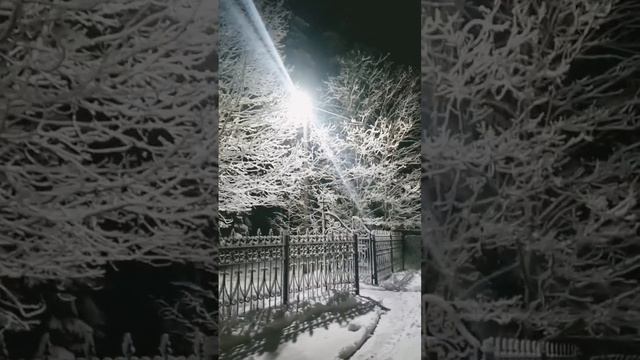 Зимняя сказка, 25.11.2023 ? смотреть онлайн