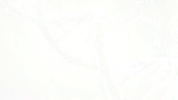 Programming of Life - Intelligent Design or Evolution ?