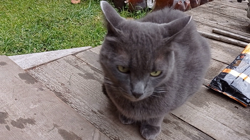 В + или в - ? Разбор станков. Чермет, цветмет, золото, палладий, платина, серебро, радиодетали. смотреть онлайн