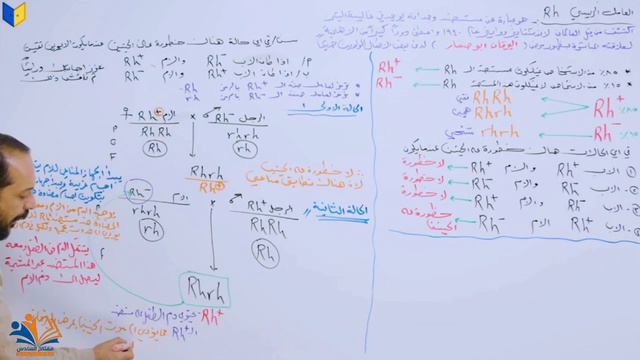 الفصل الخامس المحاضرة : 22  (العامل الرئيسي) смотреть онлайн