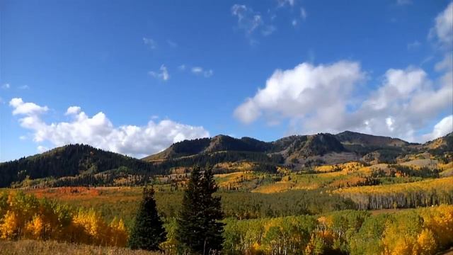 Мужчина в слезах бросился к гробу и начал избивать покойника! Все были в шоке, когда поняли причину смотреть онлайн