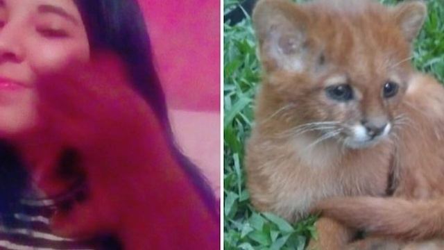 Девушка всем сердцем полюбила найденного на улице котёнка. Но с малышом пришлось расстаться смотреть онлайн