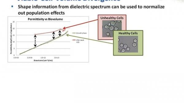 Fundamentals and Application of Dielectric Spectroscopy