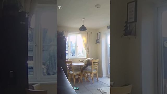 🥰👍🤣 смотреть онлайн