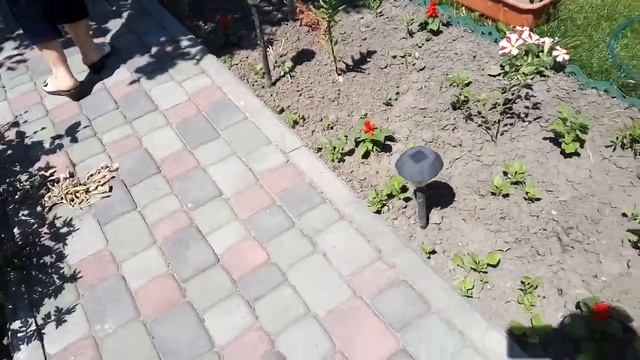 как хорошо у бабушки на даче смотреть онлайн