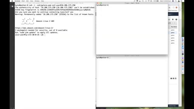 Running Galera Cluster on Amazon EC2 and comparing it to RDS and Aurora смотреть онлайн