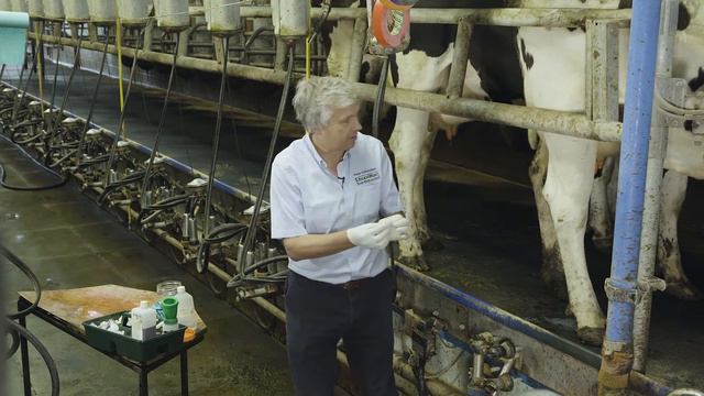 How to Take An Aseptic Milk Sample and Carry Out The California Milk Test смотреть онлайн