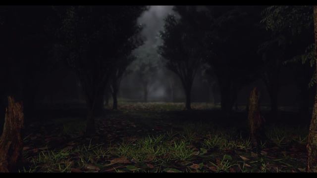 Gymnopedie#2 4K - John Robinson смотреть онлайн