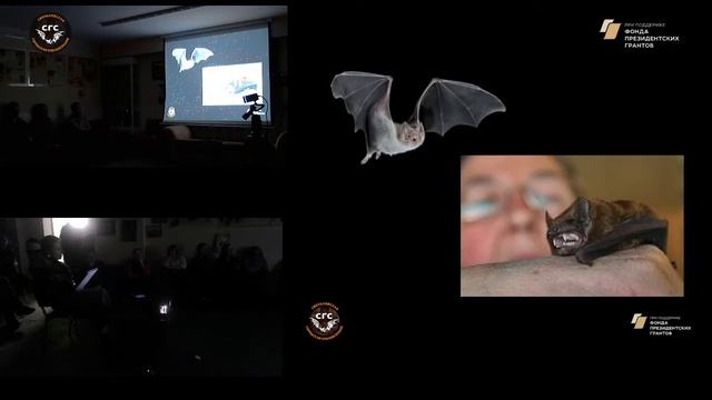 5-я лекция Спелеофауна 18.03.2021 Продолжение (часть 2) смотреть онлайн