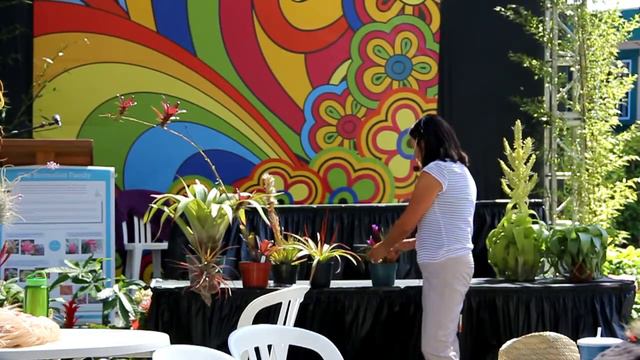 Air Plant presentation at the SD County Fair, 2015 смотреть онлайн
