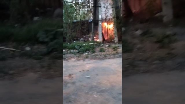 VID_20230503_214901_822.mp4