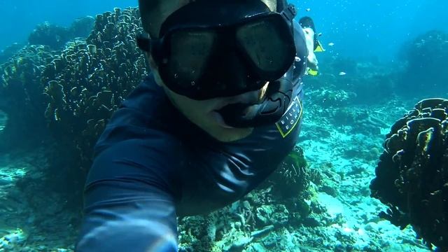 Сбежали на Симиланы. Так выглядит Таиланд без китайцев. Симиланские острова с Пхукета