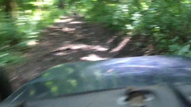 STAVMOTO Днепр прогулка через члинский лес смотреть онлайн