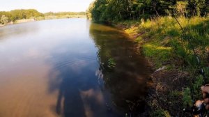 Поймал ДВУХголовую ЛЯГУШКУ! Как поймать лягушку на спиннинг!