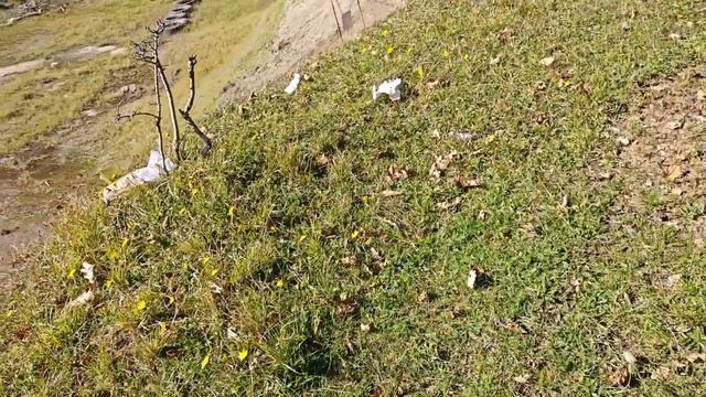 пули --PCP MANYA-- стреляю из шторма 6.35 .вес 0.36г.для первого отстрела вроде все совсем не плохо смотреть онлайн