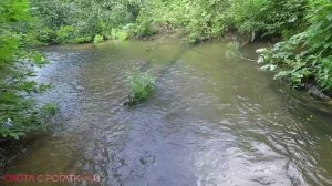 Нашел места стоянки рыбы! | Рыбалка с рогаткой и стрелами | Охота на рыбу с рогаткой | Часть 2 #23