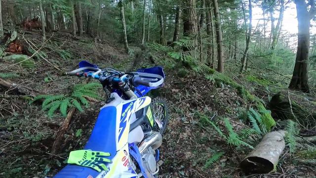 Lectron Billetron First Impressions Review