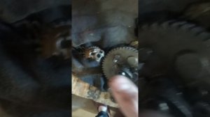 Почему не заводится двигатель лифан(Единичный случай)2-я часть