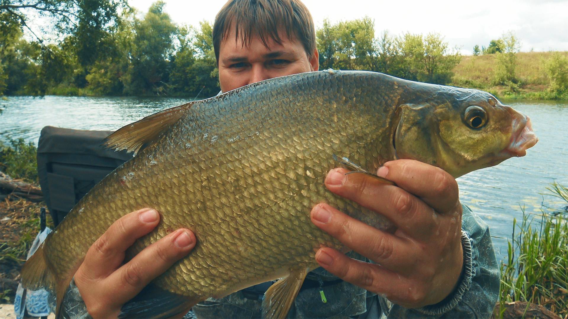 Лещ на фидер. Рыбалка в верховьях Дона 2024 смотреть онлайн